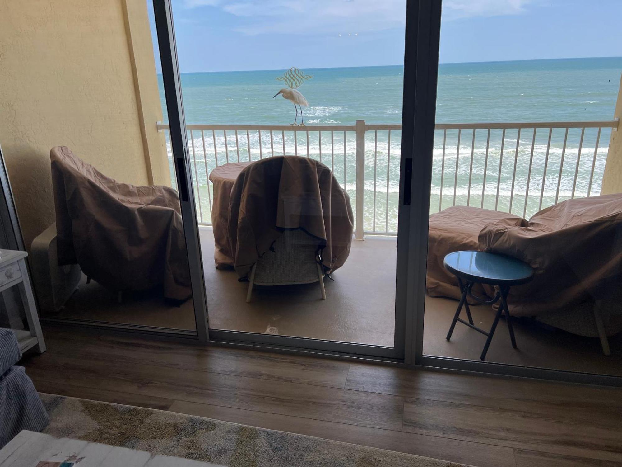 Ponce De Leon Towers Apartment New Smyrna Beach Bagian luar foto